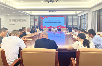 严格落实第一议题制度.jpg